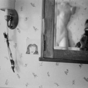 Lavender by Olaya Barr