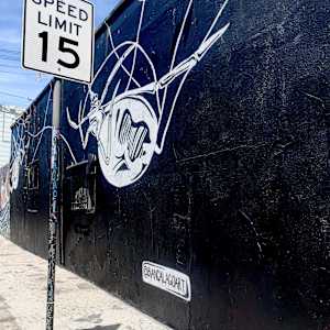 Black Widow at The Sycamore by Bianca Lago 