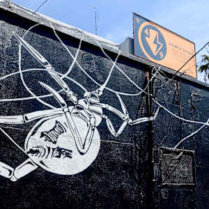 Black Widow at The Sycamore by Bianca Lago 