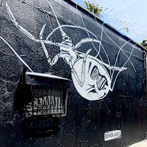 Black Widow at The Sycamore by Bianca Lago 