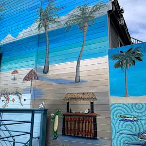 Cabo Backyard by Bianca Lago 