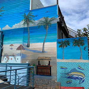 Cabo Backyard by Bianca Lago 