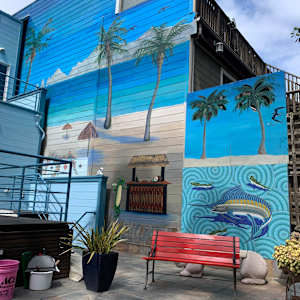 Cabo Backyard by Bianca Lago 