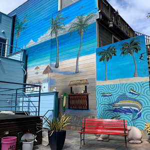 Cabo Backyard by Bianca Lago 