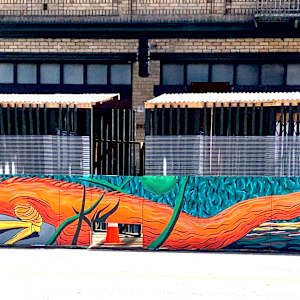 Iguana at Slate by Bianca Lago