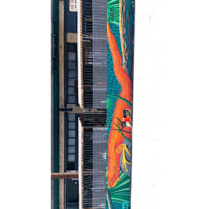 Iguana at Slate by Bianca Lago 