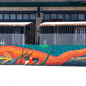 Iguana at Slate by Bianca Lago 