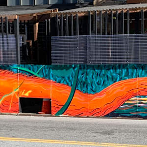 Iguana at Slate by Bianca Lago 