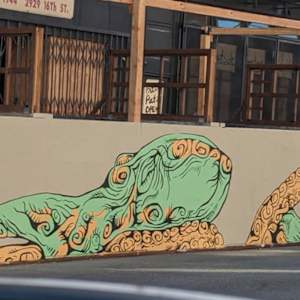 Slate Octopus by Bianca Lago 