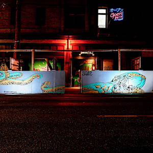 Slate Octopus by Bianca Lago 