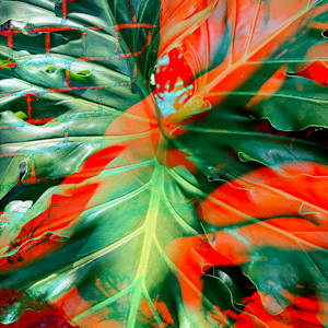 Uma Arlinda Mulher by Bianca Lago