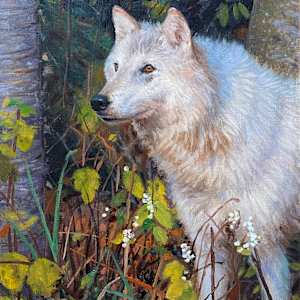 Arctic Wolf by Ken Corbett, Image 1.