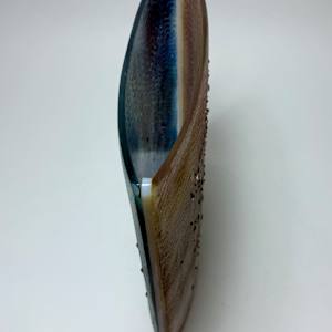 Tides Out #8 by Silvana Ferrario 
