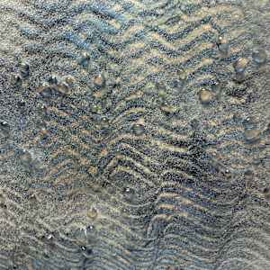 Tides Out #8 by Silvana Ferrario 