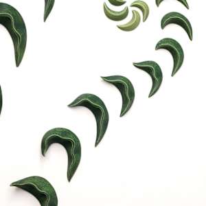 Spirafolia by Julie K. Anderson 