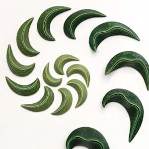 Spirafolia by Julie K. Anderson 