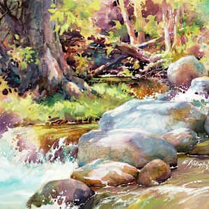 Forest Secrets - Oak Creek at Briar Patch XXV by Julie Gilbert Pollard