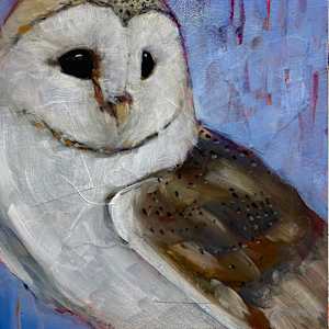 Barn Owl by Connie Geerts