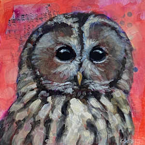 Tawny Owl by Connie Geerts