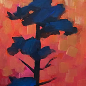 Rooted by Connie Geerts