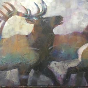Herd Energy by Connie Geerts 