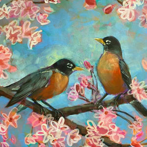 Robins in Spring 
