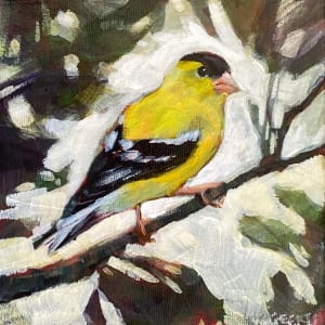 Goldfinch II