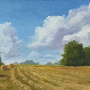 Study, First Cut by Tina Underwood