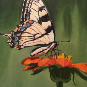 Elise's Butterfly by Christy Hegarty
