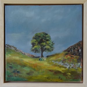 Sycamore Tree (ii) by Sarah Corrigan
