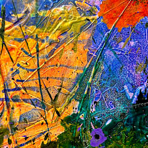 Exotica by louie . rochon . fine . art 