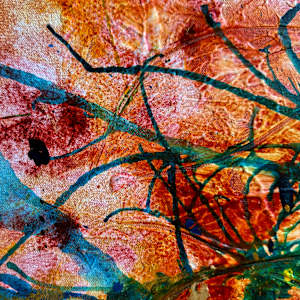 Exotica by louie . rochon . fine . art 