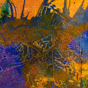 Exotica by louie . rochon . fine . art 