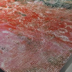 Wild Roses at Dawn by louie . rochon . fine . art 