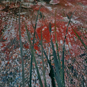 Wild Roses at Dawn by louie . rochon . fine . art 