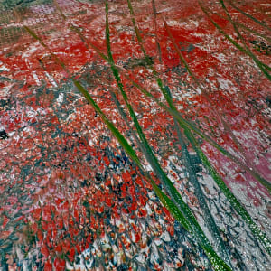 Wild Roses at Dawn by louie . rochon . fine . art 