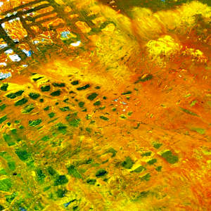 Bohemian Rhapsody by louie . rochon . fine . art 