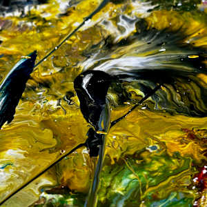 Indian Summer by louie . rochon . fine . art 