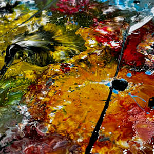 Indian Summer by louie . rochon . fine . art 