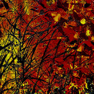 Autumn's Symphony (2 paintings) by louie . rochon . fine . art 