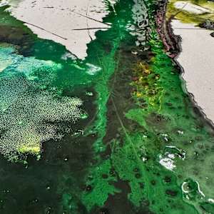 Vortex (sold) by louie . rochon . fine . art 