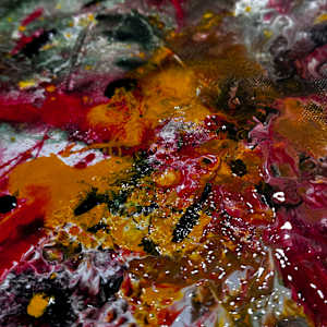 Indian Summer by louie . rochon . fine . art 