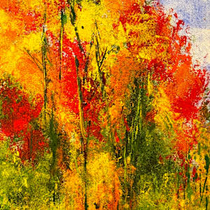 Transition by louie . rochon . fine . art 