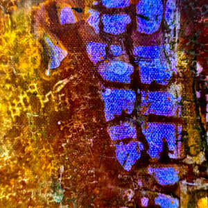 Purple Haze by louie . rochon . fine . art 