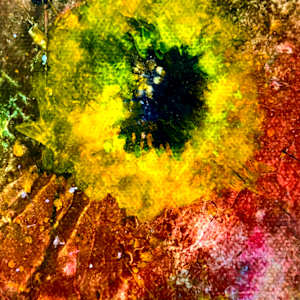 Purple Haze by louie . rochon . fine . art 