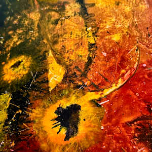 Purple Haze by louie . rochon . fine . art 