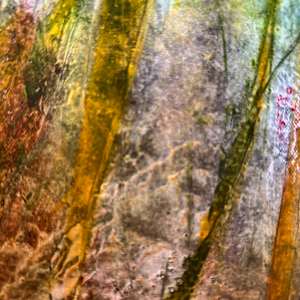 The Blessing Field by louie . rochon . fine . art 