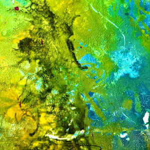 Garden Song by louie . rochon . fine . art 