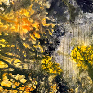 Shadowlight by louie . rochon . fine . art 