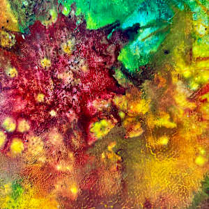 Night Bloom (Sold) by louie . rochon . fine . art 